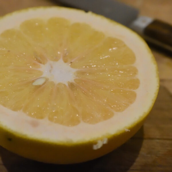 Pomelo "welker"