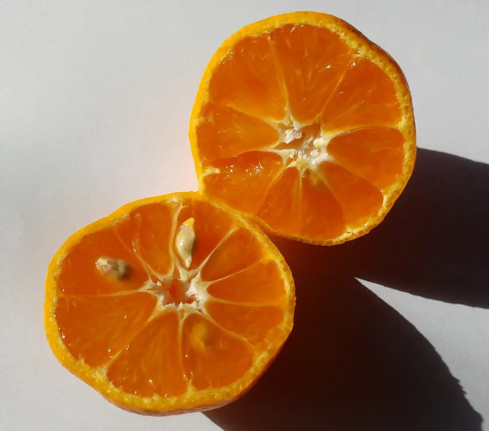 Citsuma de Prague